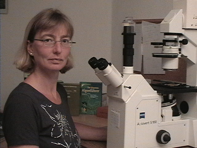 Umkehrmikroskop
